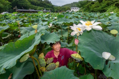 大埔脱贫攻坚：“三管齐下” 精准发力直击贫困“靶心”