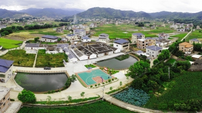 昔日贫困村，如今“大花园”！来看平远这个村如何实现“蝶变”