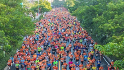 看看2019梅马的“超人气”，全马半马外地选手占九成！