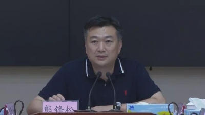 大埔召开“三个十”项目建设推进会：确保按质按时完成建设任务