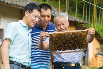 三年实现有劳动能力贫困户全脱贫，平远安南村这位“林书记”不简单！