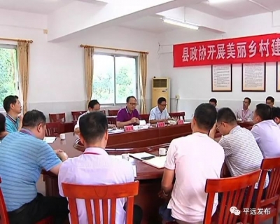 为美丽乡村建设“把脉开方”！平远县政协开展专题协商活动