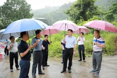 熊锋松到大埔县城调研市政设施建设工作