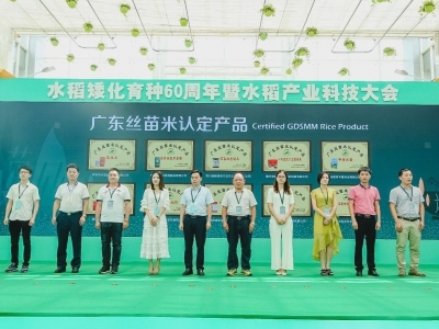 厉害了！我市三家企业产品获广东丝苗米认定