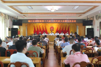 梅江区西阳镇第十六届人民代表大会第五次会议胜利召开