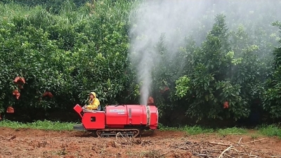 大开眼界！今天，一大批“高精尖”农机在蕉岭集中亮相