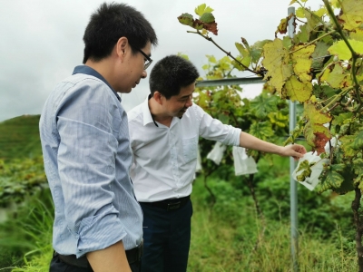 累计放款21亿元！我市银行机构访百万企业，助力实体经济