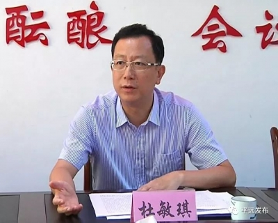 杜敏琪到平远仁居镇人大代表联络室开展主题活动