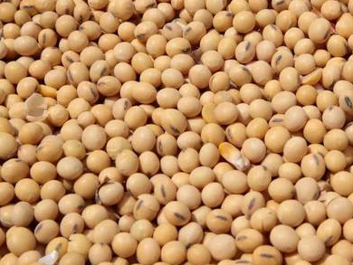 海关总署公告：允许俄罗斯全境大豆进口