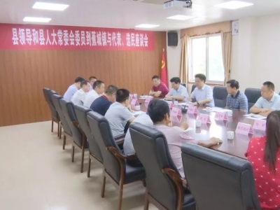陈伟明到蕉城镇开展“更好发挥人大代表作用”主题活动