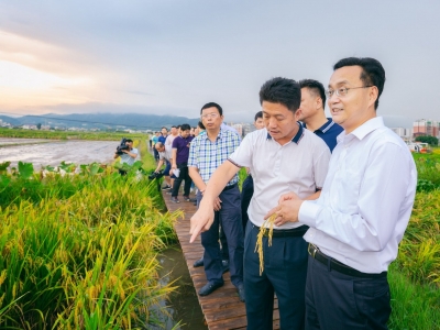 张爱军到梅县丙村镇调研：加快重点项目建设推动经济高质量发展