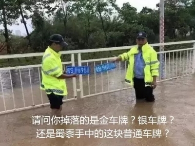 胆太肥！买卖假临时车牌，梅城女中介获利250元被判刑