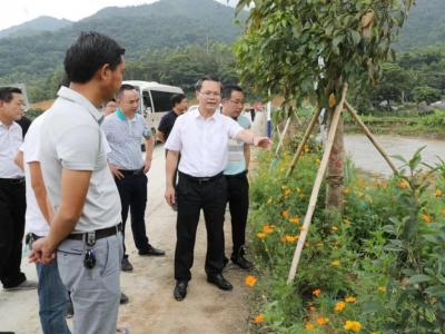 曾永祥：加快推进206国道升级改造 全力打造百里绿道