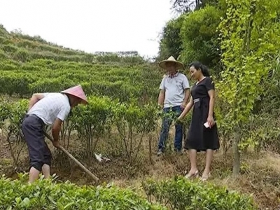 平远：依托农业企业联农带动，加快脱贫致富步伐