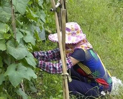 探索创新社会治理  平远县长田镇践行“枫桥经验”