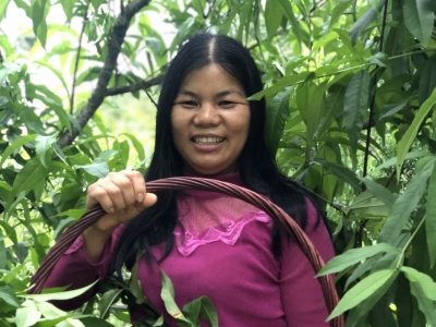 人物丨陈燕玲：女白领归园田居，“线下”种果“线上”卖