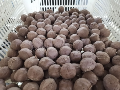 老板，来一碗丰顺牛肉粄汤！留住“鲜”牛味  记忆家乡胃