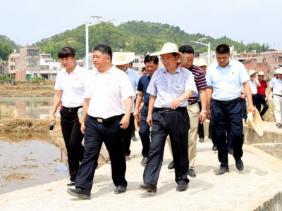 五华县召开抓党建促发展提升组织力现场会