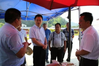 广州市海珠区区委书记马正勇到大埔开展对口帮扶调研