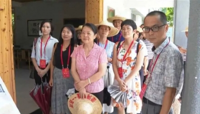 省人大代表到大埔开展生态宜居美丽乡村建设专题调研