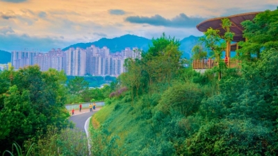 每日一景丨漫步马鞍山公园，邂逅田园诗意之美