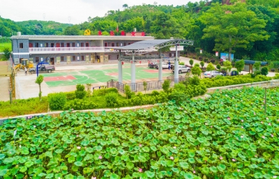 帮扶显成效 产业有前景！梅县区彰三村这样绘就美丽乡村画卷