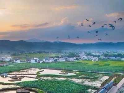 梅县将建设华侨华人创新创业聚集区“侨梦苑”！