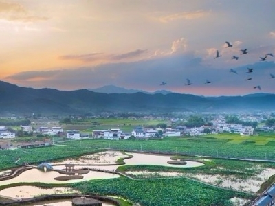 打好打赢乡村振兴第一场硬仗！梅县区召开农村人居环境整治现场推进会