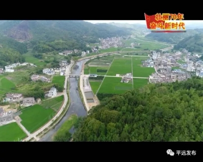 绿水青山、金山银山双兼备！平远两手狠抓加快林业现代化建设