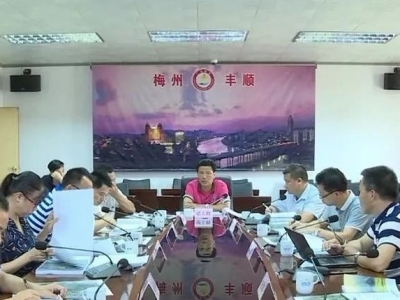 来看看！丰顺马图村旅游开发概念性规划初步成果怎么样