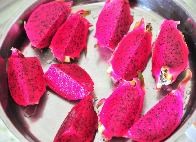 8月去哪约？梅县区火龙果基地游玩＆采摘走起来