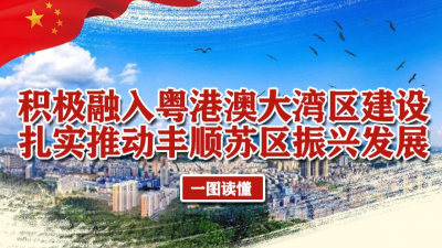 丰顺县委全会报告都讲了啥？这里有一图让你读懂...