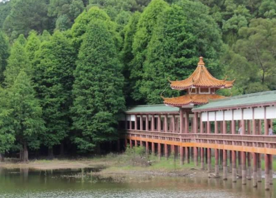 @梅城人 注意！8月5日起，经过这里要绕行