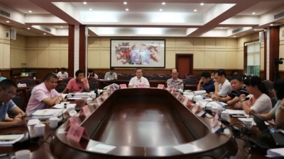 曾永祥、廖茂忠出席汤南“文创小镇”规划评审会 