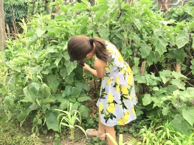 不一样的暑假！摘菜、喂鸡、拔草除虫...城里娃的乡下“变形记”
