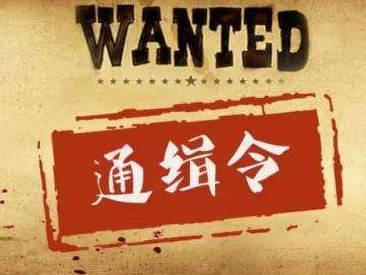 ​A级通缉令通缉50名重大在逃人员，发布7天18人落网