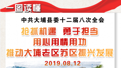 大埔县委全会报告都说了啥？一图让你读懂...