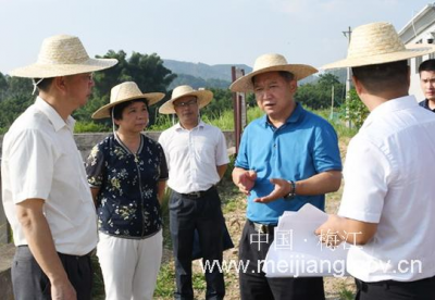 朱国城率队到西阳镇调研：以乡村产业振兴带动农民致富