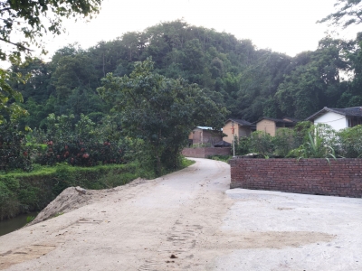 投资20万元！大埔青溪镇这条路准备开工“焕新”啦