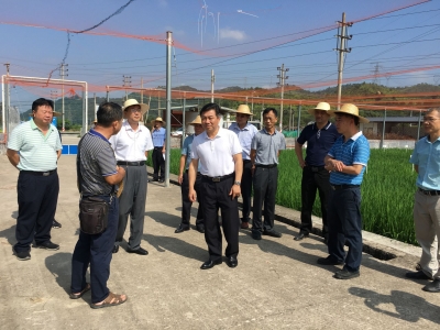  市政协督办调研加大农业科技投入提案