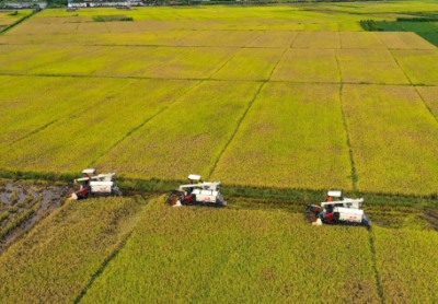 贯彻全会精神丨蕉岭县：六大举措推动苏区振兴发展