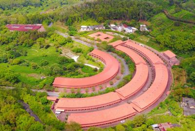 立行立改！雁南飞茶田景区全面提升景区质量