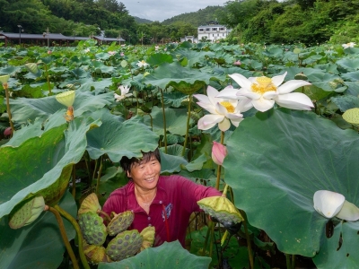 聚焦全会丨以“五抓、五增、五创建”做好梅州下半年经济工作