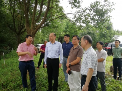 省广新控股集团有限公司党委委员陈南生率队来梅考察