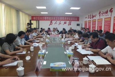 全市首批！梅江区这两个镇顺利通过“创国卫”省级技术评估