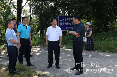 朱国城率队到金山街道调研乡村振兴工作