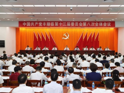 丰顺：积极融入粤港澳大湾区建设 扎实推动丰顺苏区振兴发展