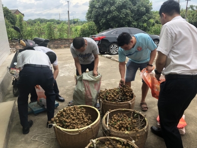 不忘“支农支小”初心使命，兴宁农商银行助力果农脱贫靠这个...