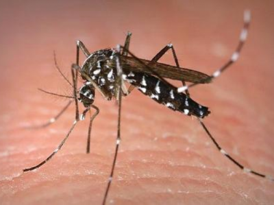 防蚊灭蚊！防控登革热，梅县区在行动