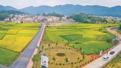 你家乡的村道有多靓？兴宁、蕉岭上榜“四好农村路”省级示范县